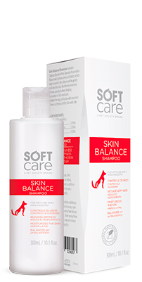 SKIN BALANCE Shampoo